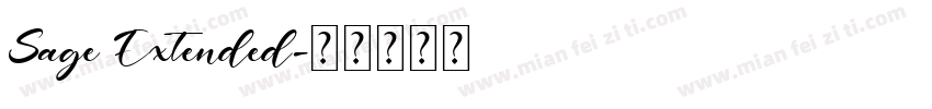 Sage Extended字体转换